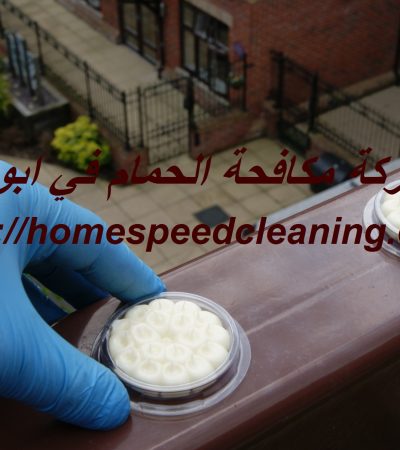 شركة مكافحة الحمام في ابوظبي
