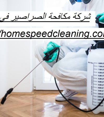 شركة مكافحة الصراصير في العين