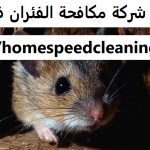 شركة مكافحة الفئران في العين