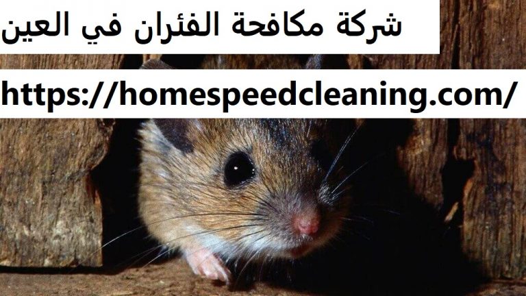 شركة مكافحة الفئران في العين