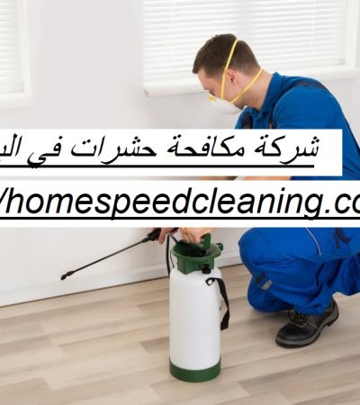 شركة مكافحة حشرات في البطين