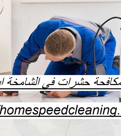 شركة مكافحة حشرات في الشامخة ابوظبي