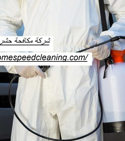 شركة مكافحة حشرات في العين