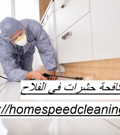 شركة مكافحة حشرات في الفلاح