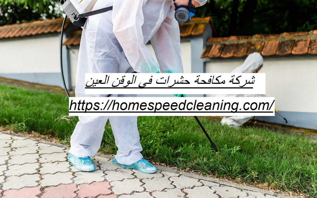 شركة مكافحة حشرات في الوقن العين