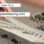 شركة مكافحة الحمام راس الخيمة