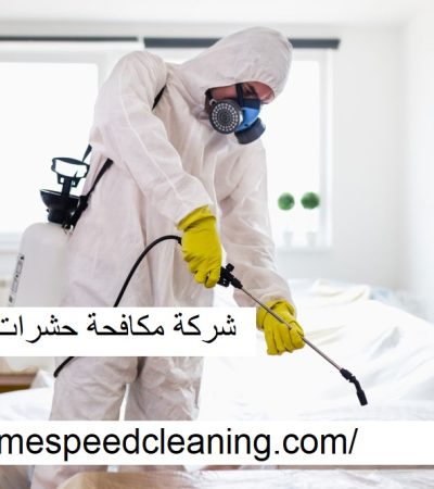 شركة مكافحة حشرات رأس الخيمة