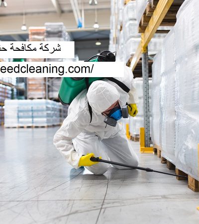 شركة مكافحة حشرات في ام القيوين