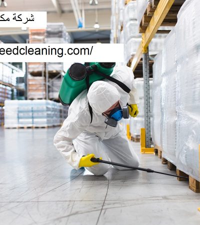 شركة مكافحة حشرات في دبي