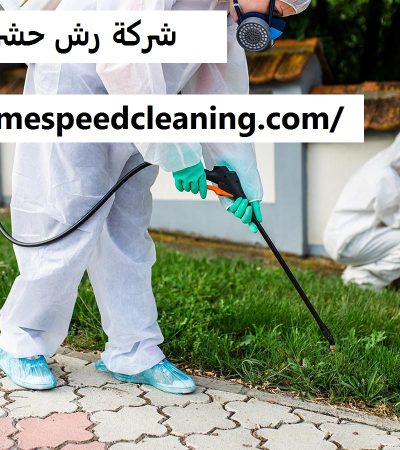 شركة رش حشرات في دبي