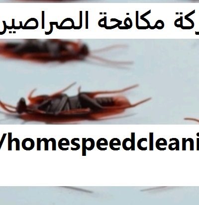 شركة مكافحة الصراصير الشارقة
