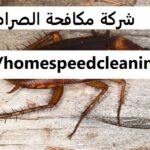 شركة مكافحة الصراصير دبي