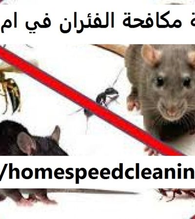 شركة مكافحة الفئران في ام القيوين