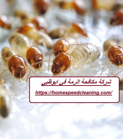 شركة مكافحة الرمة في ابوظبي