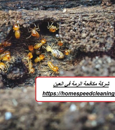 شركة مكافحة الرمة في العين