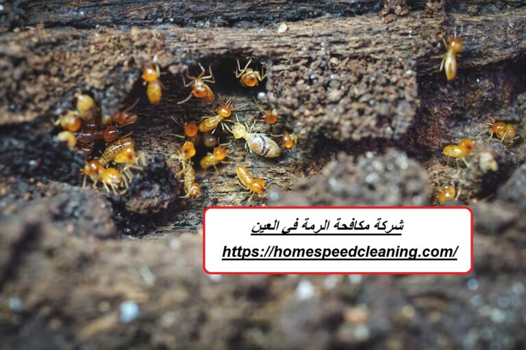 شركة مكافحة الرمة في العين