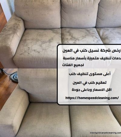 ارخص شركة غسيل كنب في العين