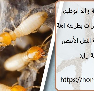 شركة مكافحة الرمة في مدينة زايد ابوظبي
