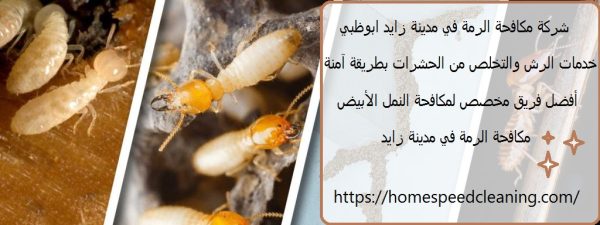 شركة مكافحة الرمة في مدينة زايد ابوظبي