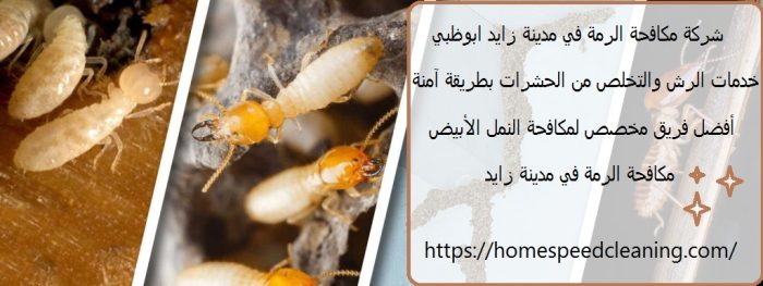 شركة مكافحة الرمة في مدينة زايد ابوظبي