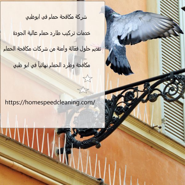 شركة مكافحة حمام فى ابوظبي
