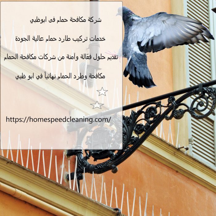 شركة مكافحة حمام فى ابوظبي