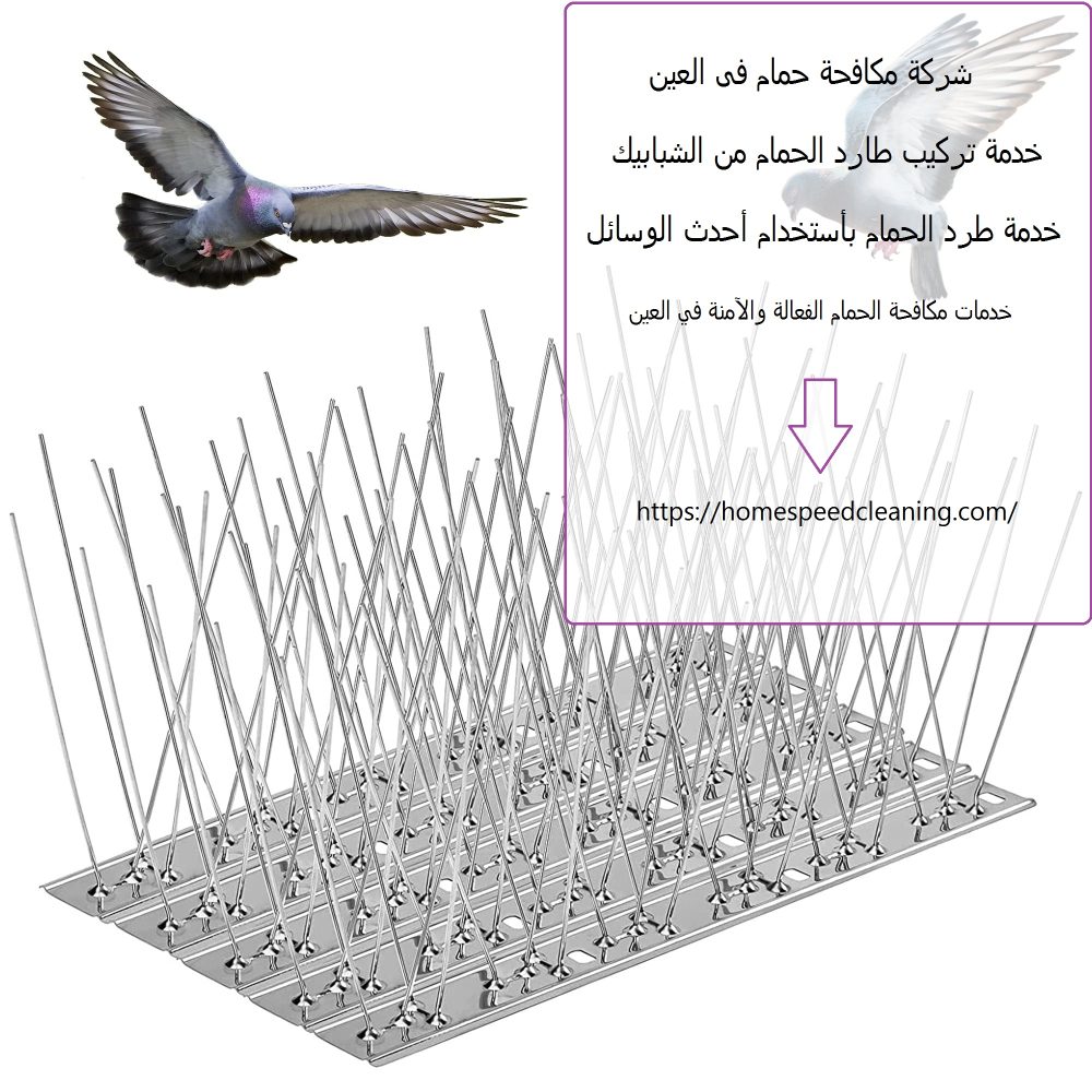 شركة مكافحة حمام فى العين