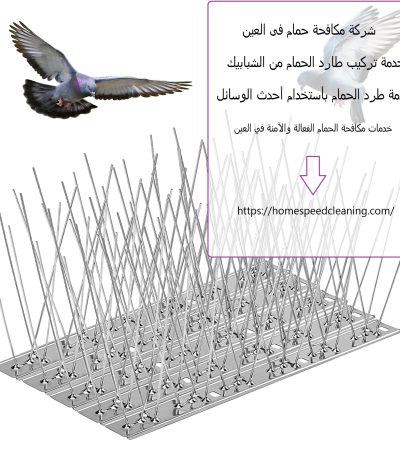 شركة مكافحة حمام فى العين