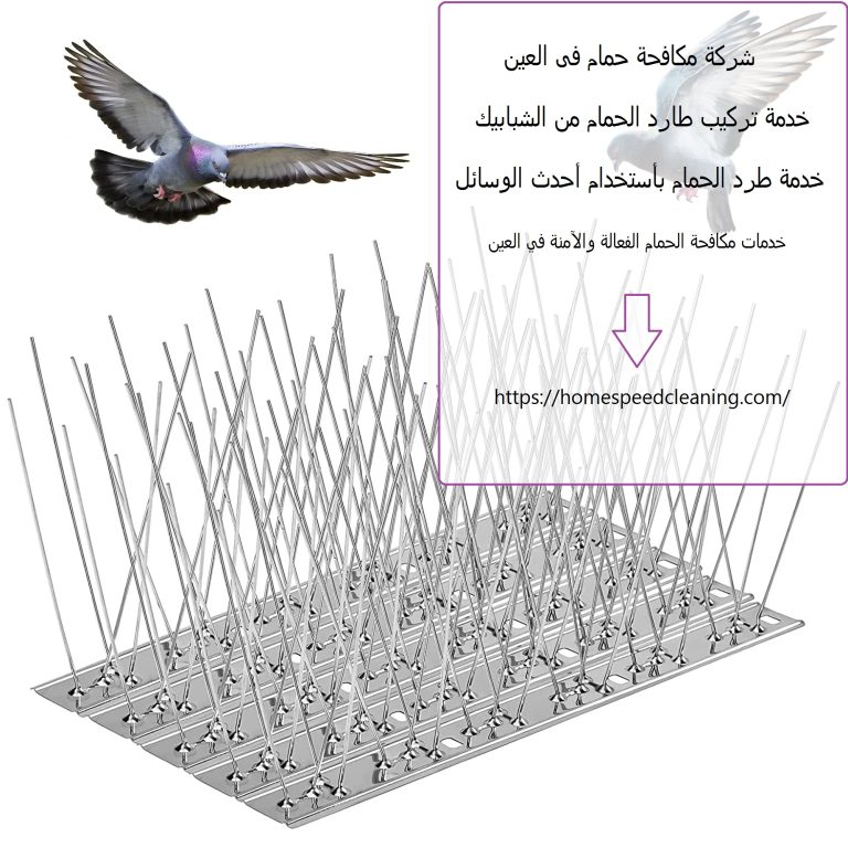 شركة مكافحة حمام فى العين