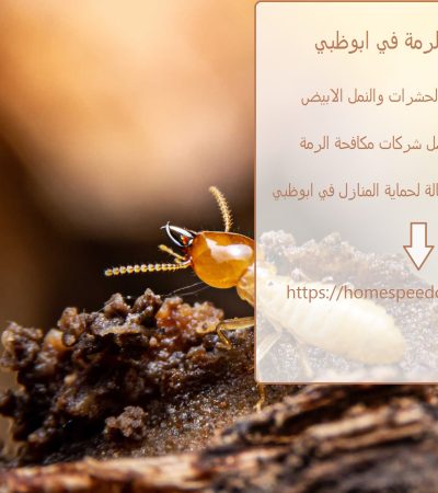 مكافحة الرمة في ابوظبي