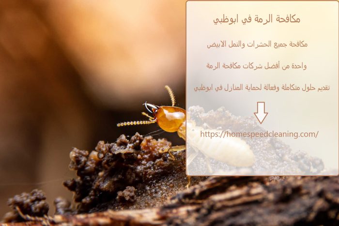 مكافحة الرمة في ابوظبي