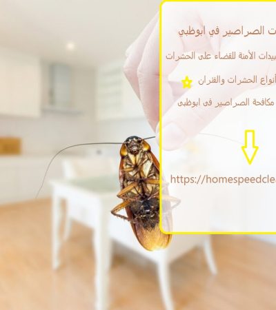 مكافحة حشرات الصراصير في ابوظبي