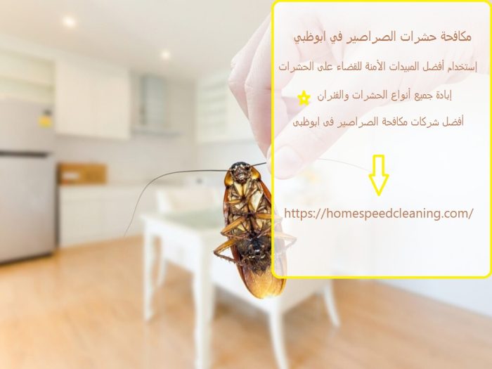 مكافحة حشرات الصراصير في ابوظبي