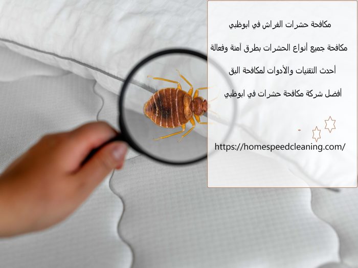 مكافحة حشرات الفراش في ابوظبي
