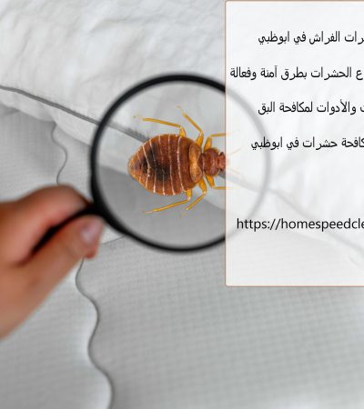 مكافحة حشرات الفراش في ابوظبي